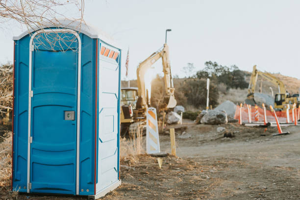 Best Local porta potty services  in Twin Lakes, NM
